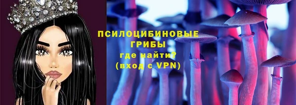 стаф Абинск