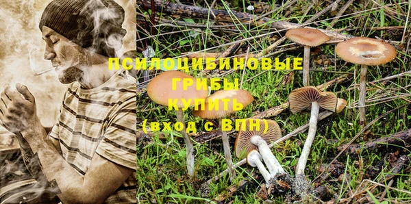 стаф Абинск
